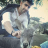 Ankit