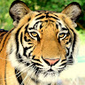 Sri