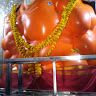Rohit