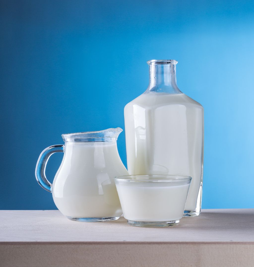 A Dairy Products Production Biz looking for Funds in Gujarat-SL014171-3