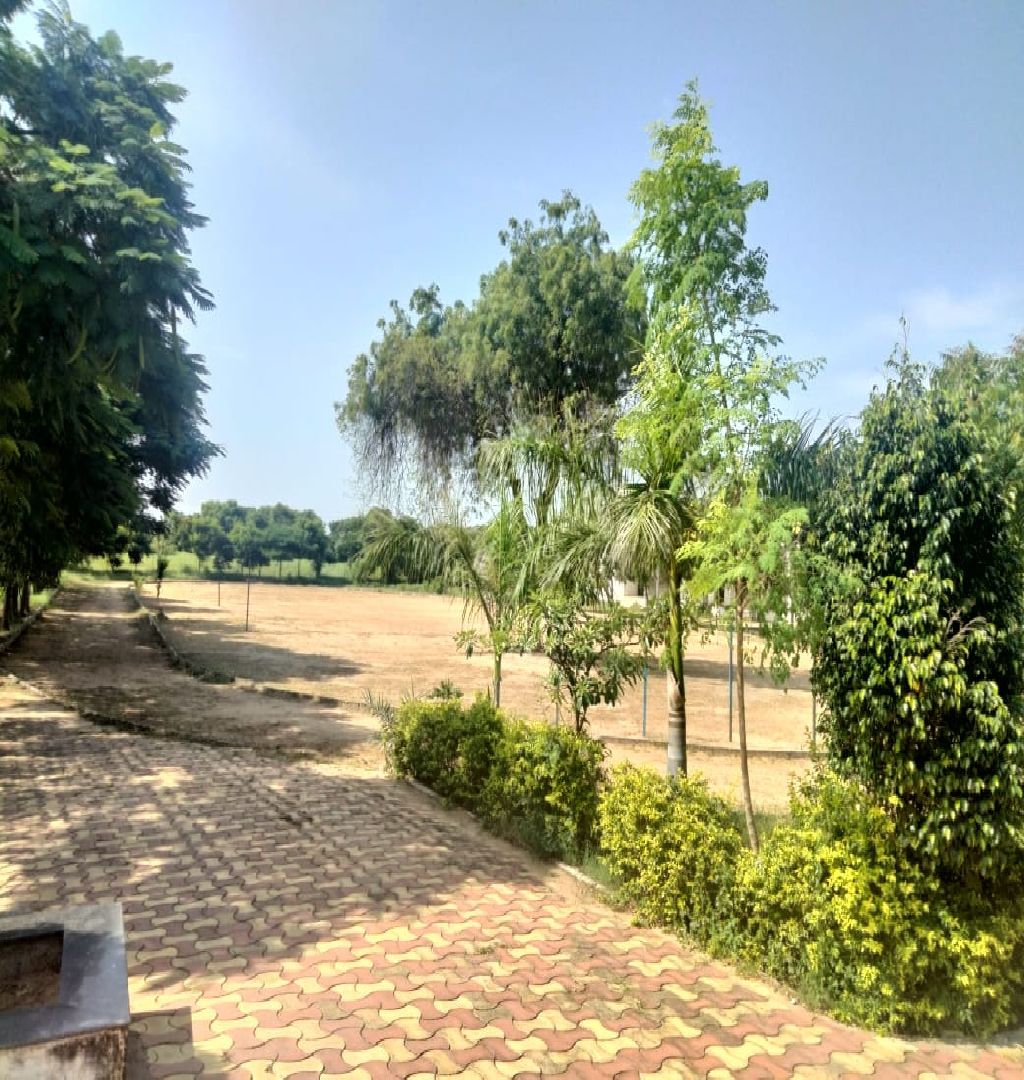 Established Gujarati Medium School For Sale In Palanpur-SL014589-2