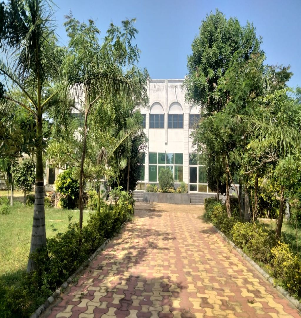 Established Gujarati Medium School For Sale In Palanpur-SL014589-1