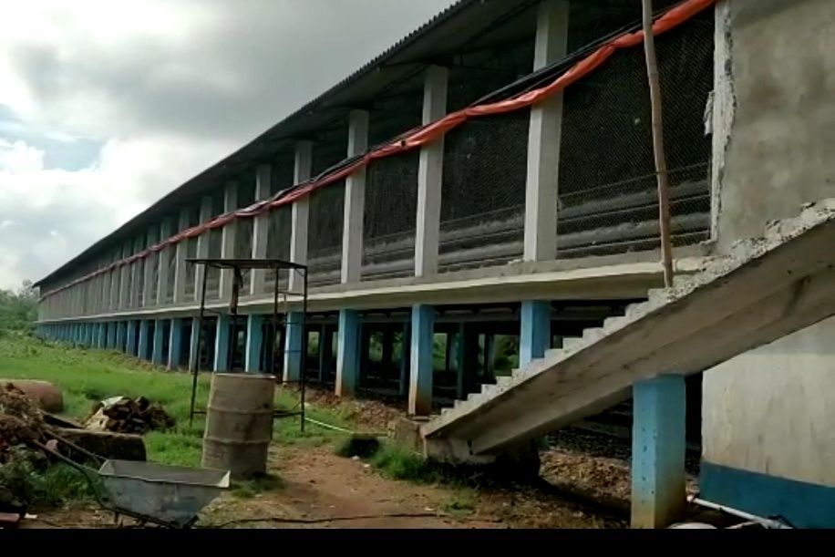 Running Layer Poultry Farm For Sale In Bankura-SL013482-0