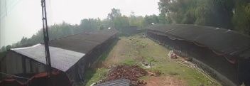 Running Layer Poultry Farm For Sale In Bankura-SL013482-3